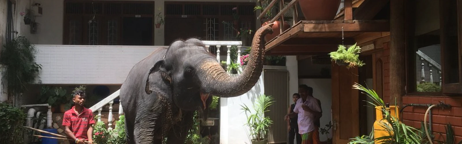 Hotel Mango Garden Kandy – A Cozy Retreat in the Heart of the Hill Capital